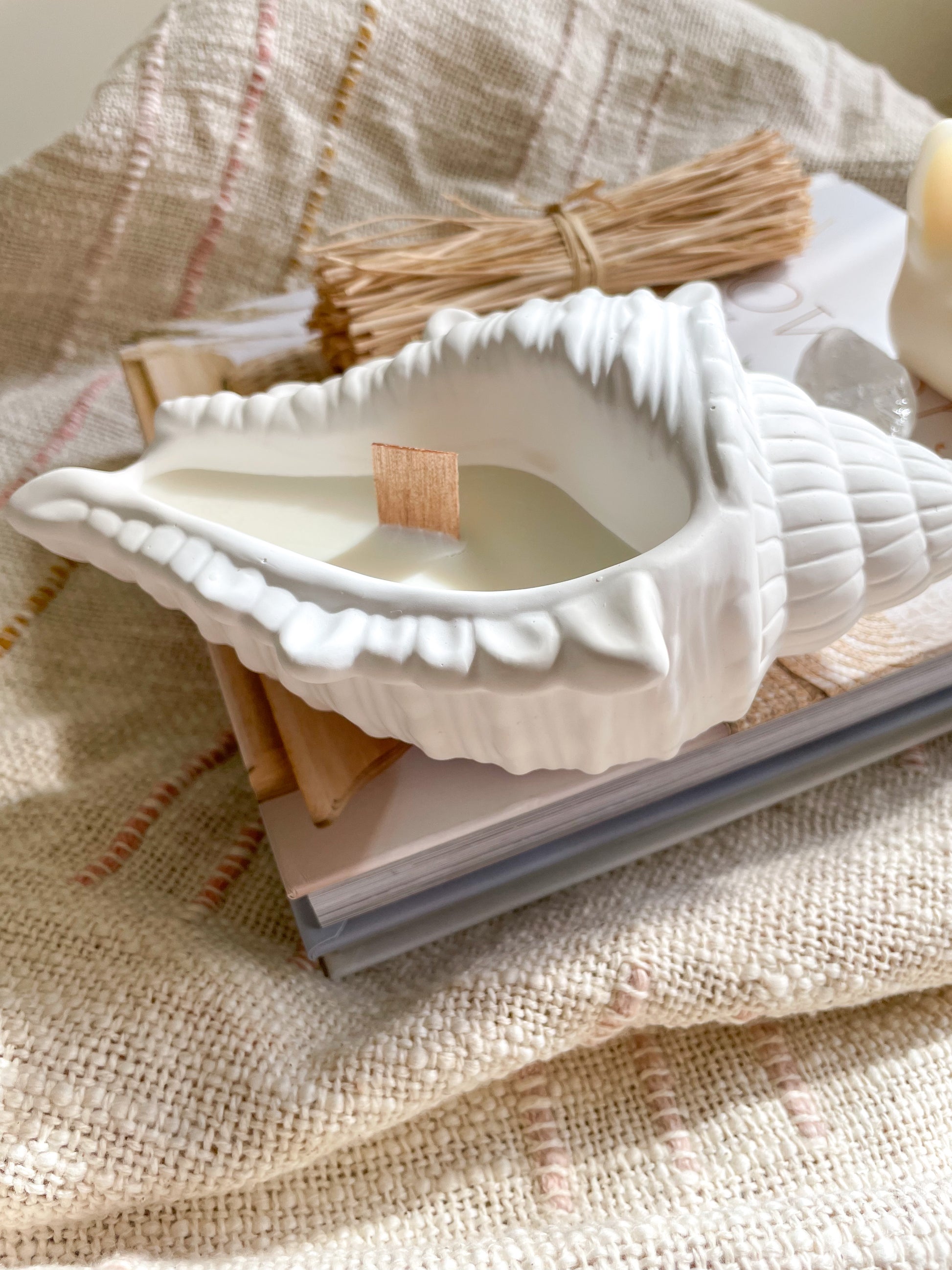 Closeup view of Seashell soywax candle placed on a coffee table book