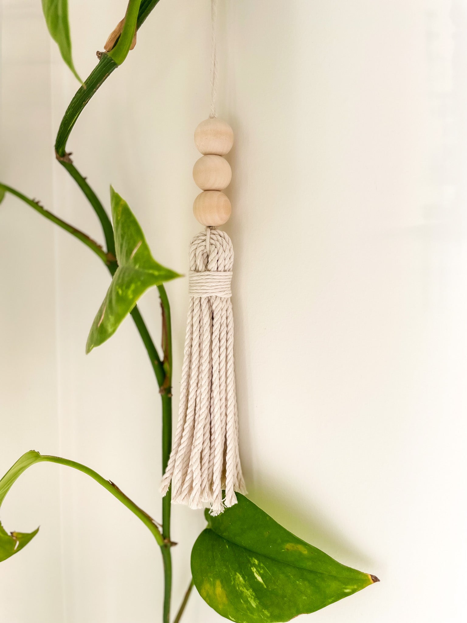Beaded macrame tassels hanging hanged on the wall amongst pothos leaves. 